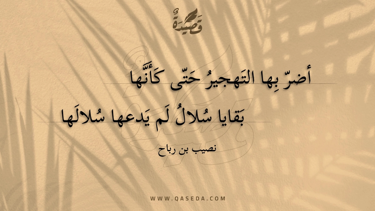 أضر بها التهجير حتى كأنها - | موقع قصيدة