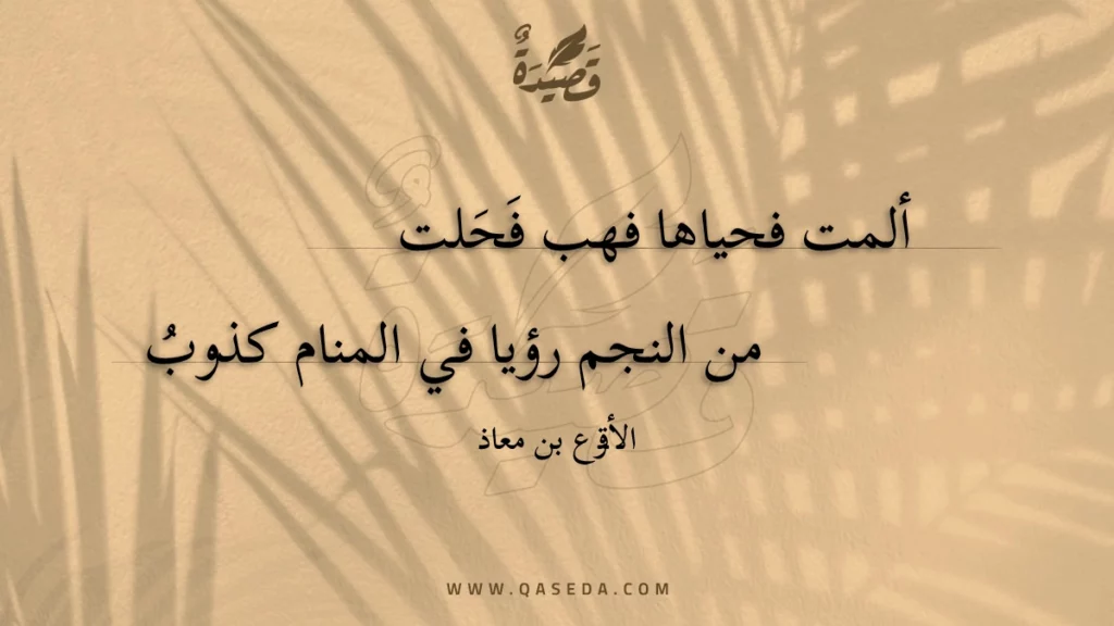 ألمت فحياها فهب فحلت - | موقع قصيدة