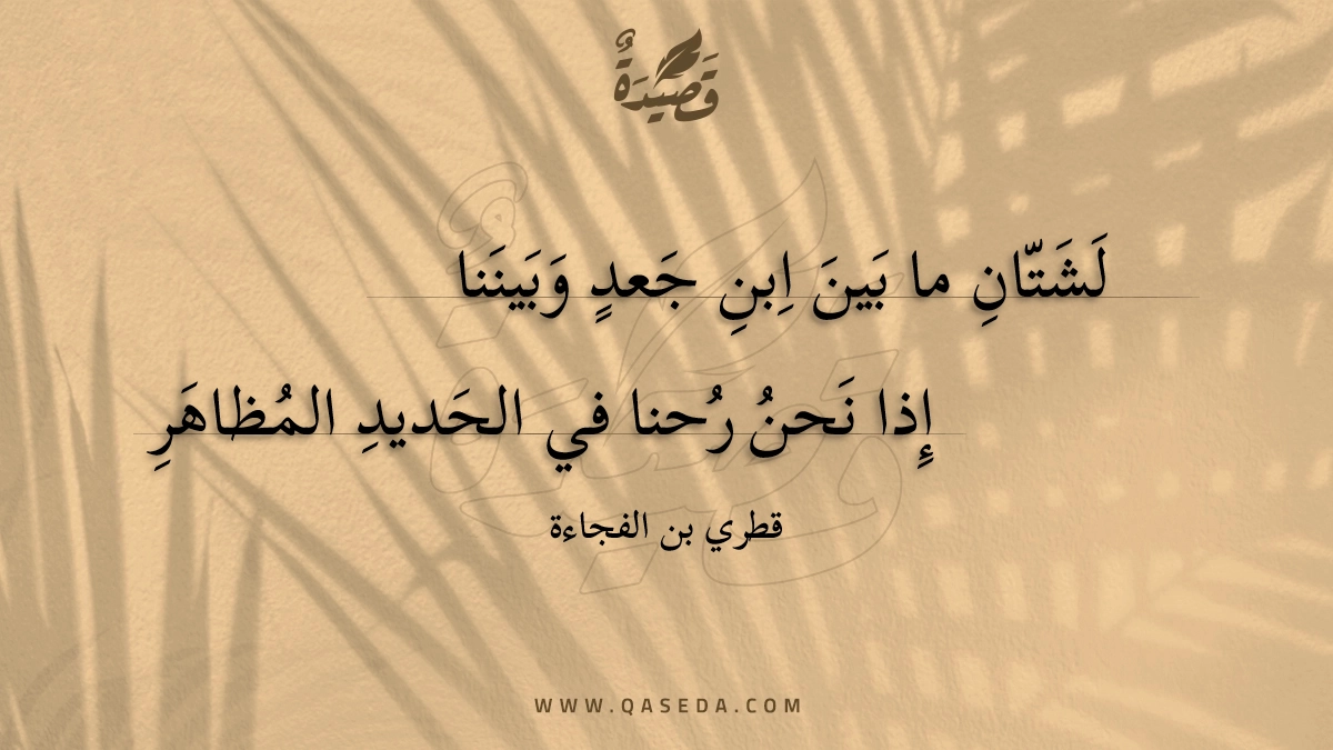 لشتان ما بين ابن جعد وبيننا - | موقع قصيدة