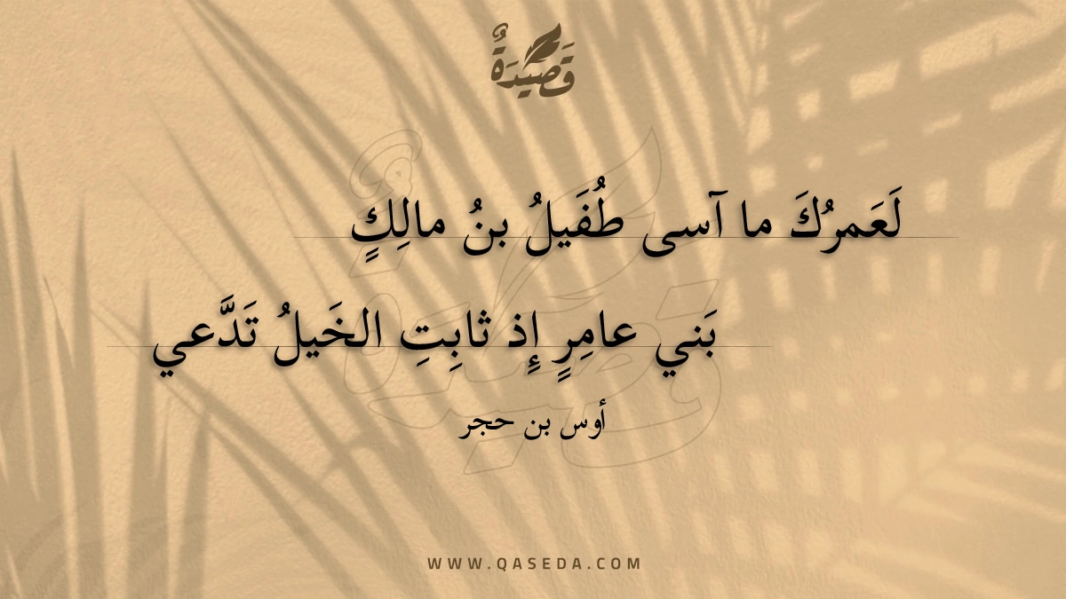 لعمرك ما آسى طفيل بن مالك - | موقع قصيدة
