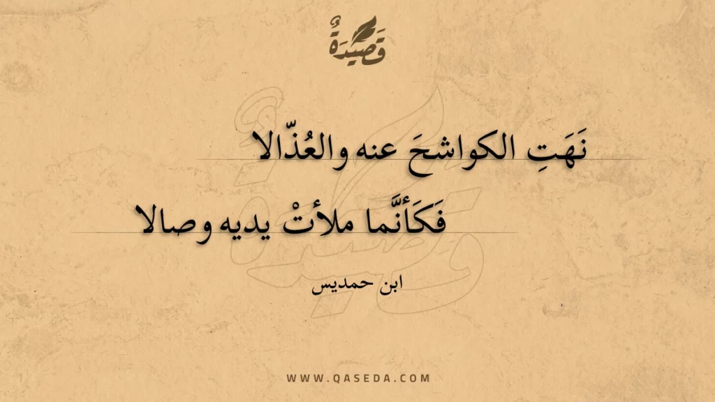 نهت الكواشح عنه والعذالا - | موقع قصيدة