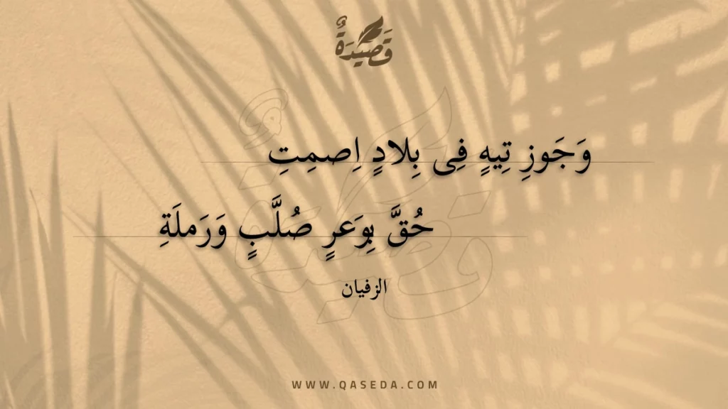 وجوز تيه فى بلاد اصمت | الزفيان