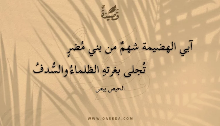قصيدة آبي الهضيمة شهم من بني مضر