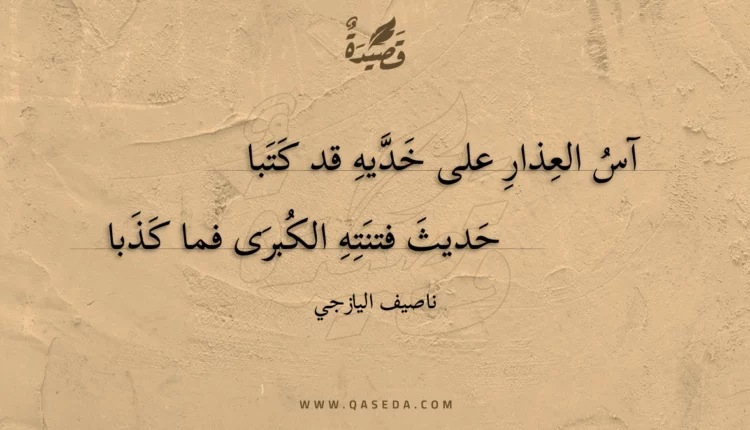 قصيدة آس العذار على خديه قد كتبا