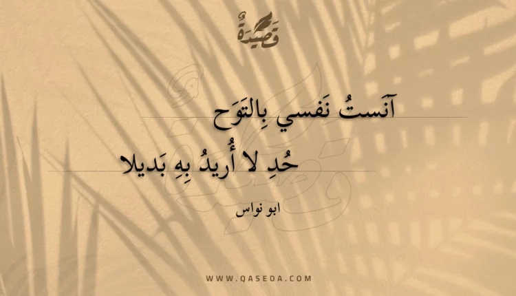 قصيدة آنست نفسي بالتوحد