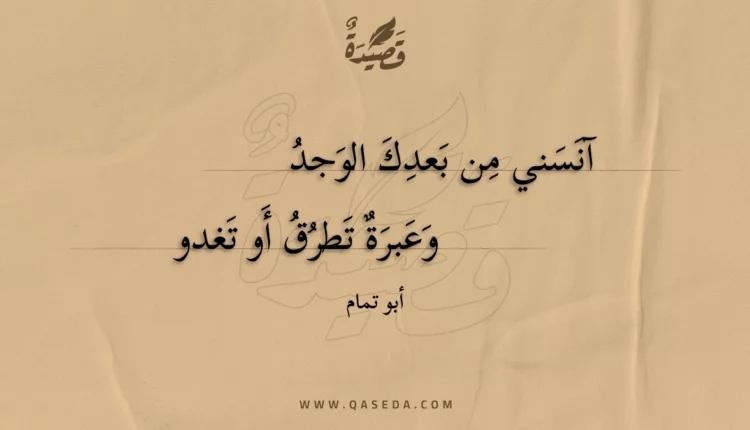 قصيدة آنسني من بعدك الوجد