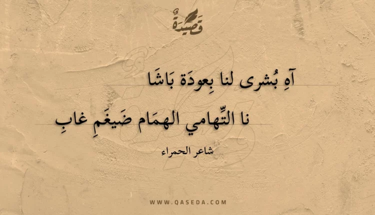 قصيدة آه بشرى لنا بعودة باشا