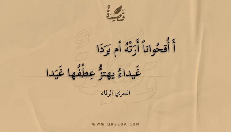 قصيدة أ أقحوانا أرته أم بردا