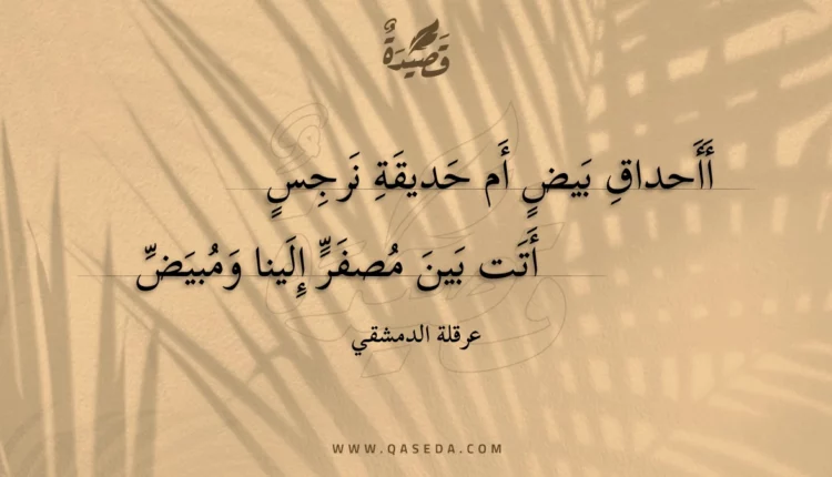 قصيدة أأحداق بيض أم حديقة نرجس