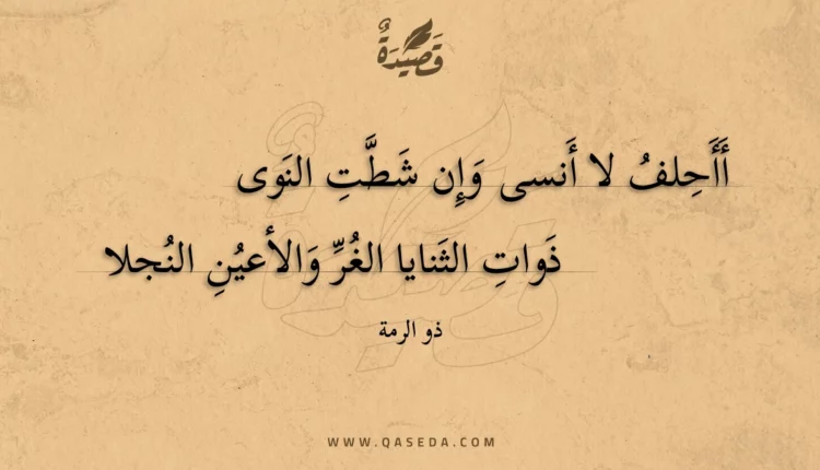 قصيدة أأحلف لا أنسى وإن شطت النوى