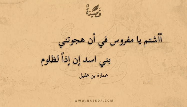 قصيدة أأشتم يا مفروس في أن هجوتني