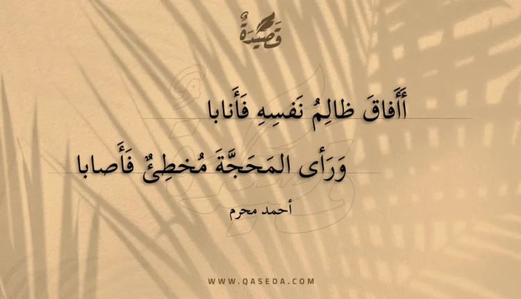 قصيدة أأفاق ظالم نفسه فأنابا