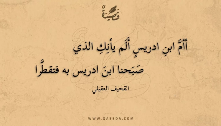 قصيدة أأم ابن ادريس ألم يأنك الذي