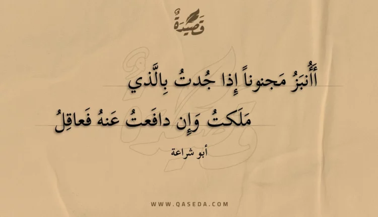 قصيدة أأنبز مجنونا إذا جدت بالذي