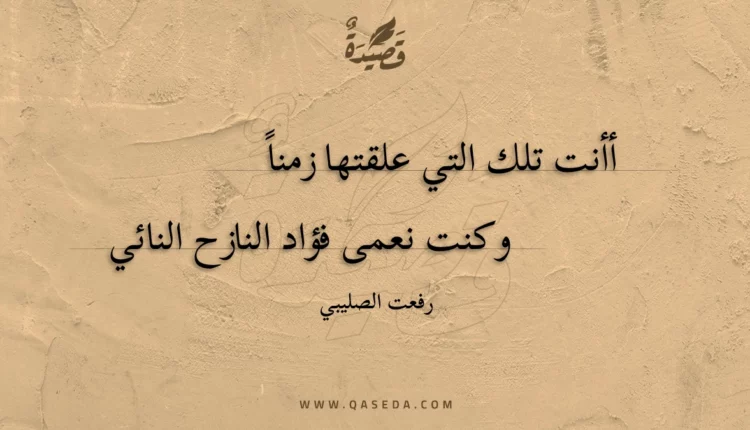 قصيدة أأنت تلك التي علقتها زمنا