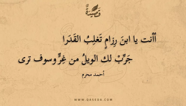 قصيدة أأنت يا ابن رزام تغلب القدرا