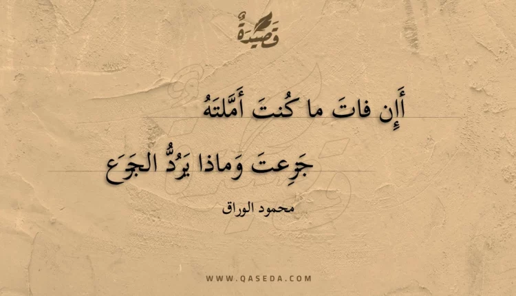 قصيدة أإن فات ما كنت أملته