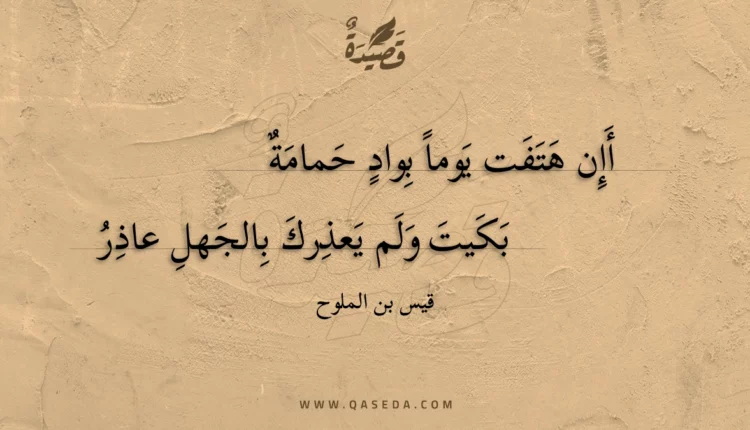 قصيدة أإن هتفت يوما بواد حمامة