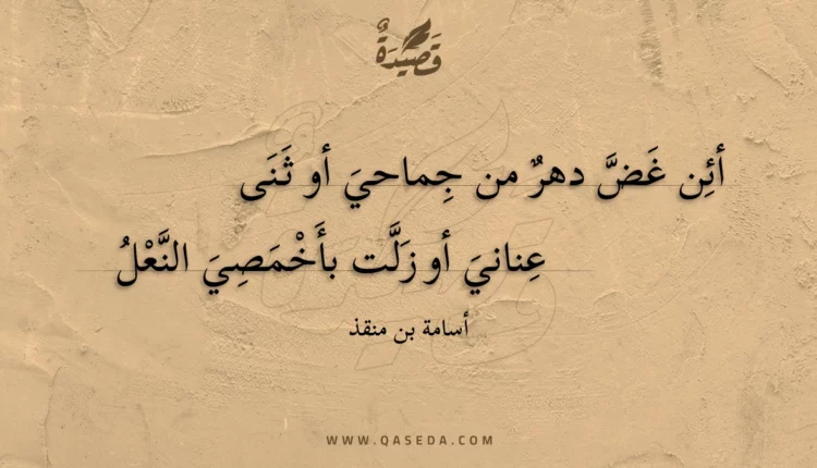 قصيدة أئن غض دهر من جماحي أو ثنى