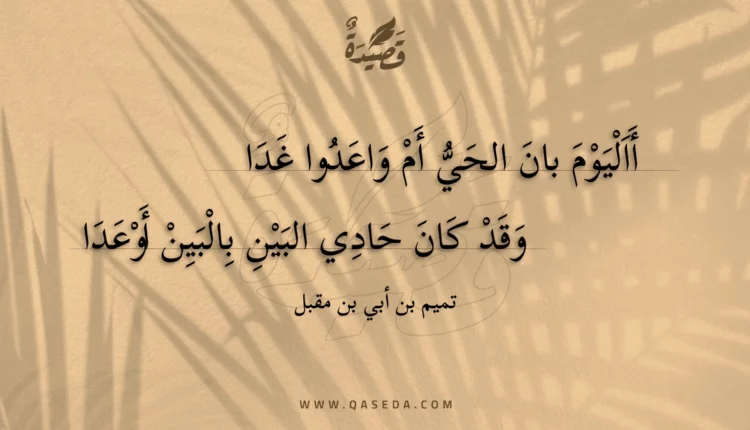 قصيدة أاليوم بان الحي أم واعدوا غدا