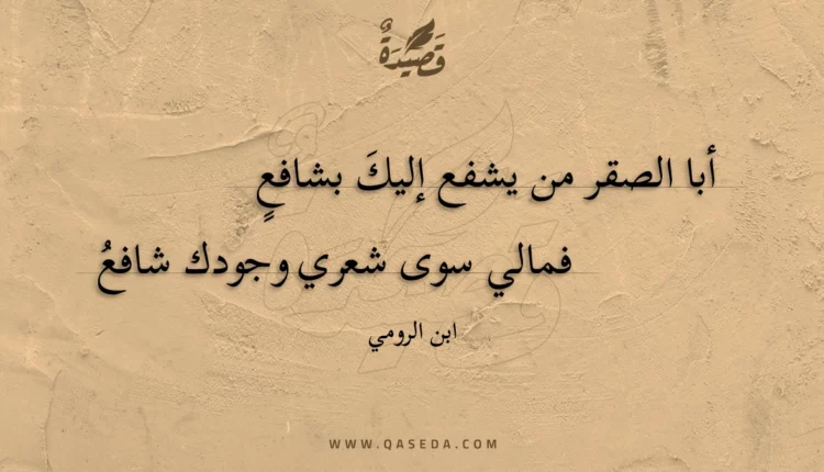 قصيدة أبا الصقر من يشفع إليك بشافع