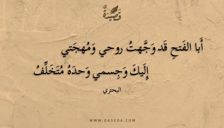 قصيدة أبا الفتح قد وجهت روحي ومهجتي