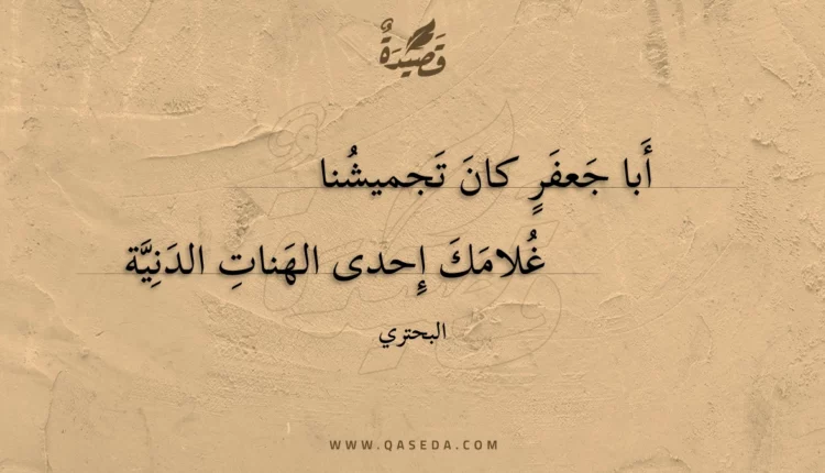 قصيدة أبا جعفر كان تجميشنا