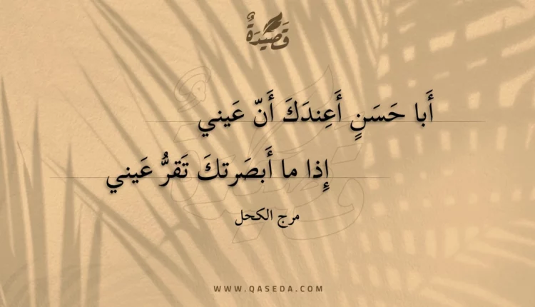 قصيدة أبا حسن أعندك أن عيني