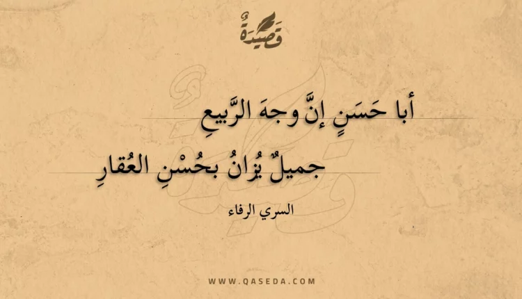 قصيدة أبا حسن إن وجه الربيع