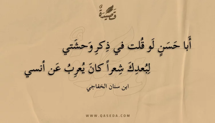 قصيدة أبا حسن لو قلت في ذكر وحشتي