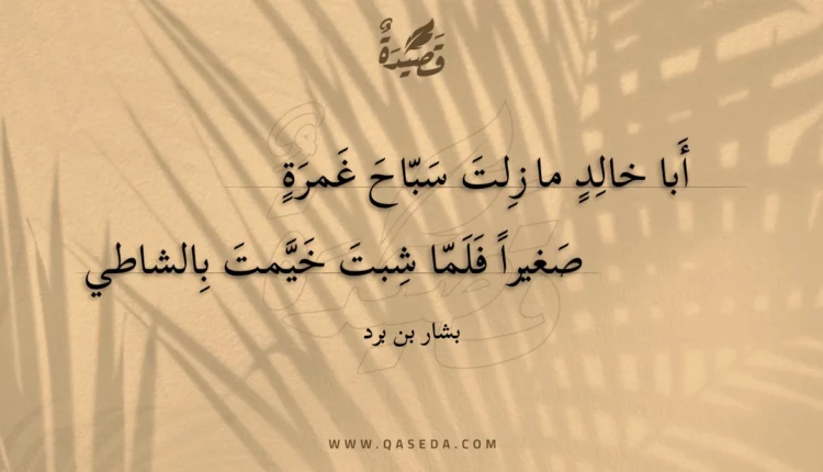 قصيدة أبا خالد ما زلت سباح غمرة