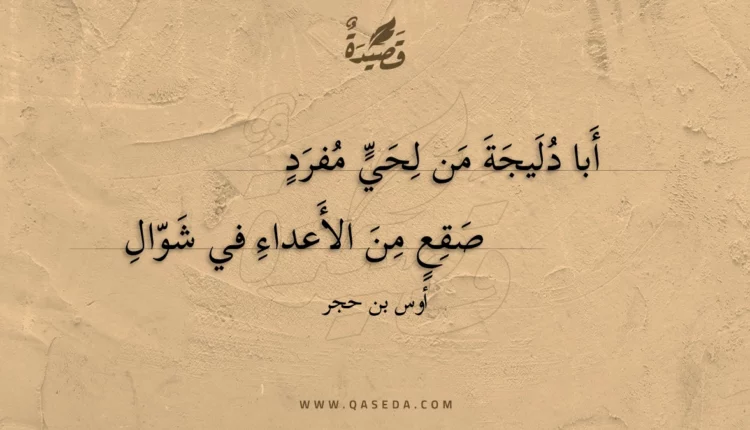 قصيدة أبا دليجة من لحي مفرد