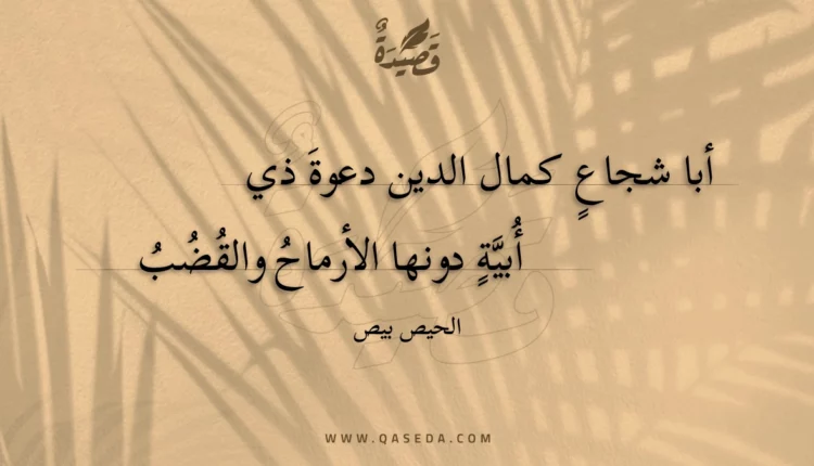 قصيدة أبا شجاع كمال الدين دعوة ذي