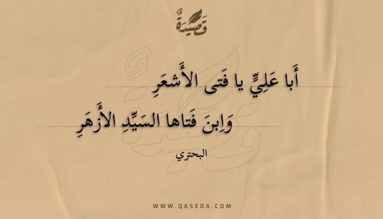 قصيدة أبا علي يا فتى الأشعر