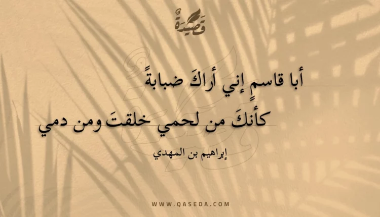 قصيدة أبا قاسم إني أراك ضبابة