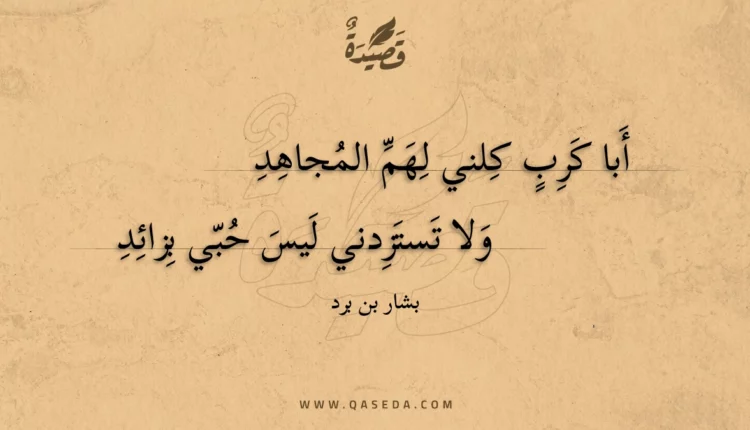 قصيدة أبا كرب كلني لهم المجاهد