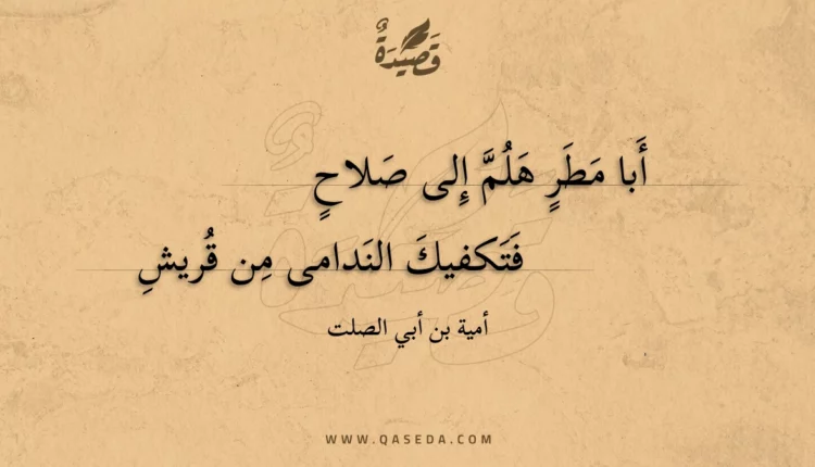 قصيدة أبا مطر هلم إلى صلاح
