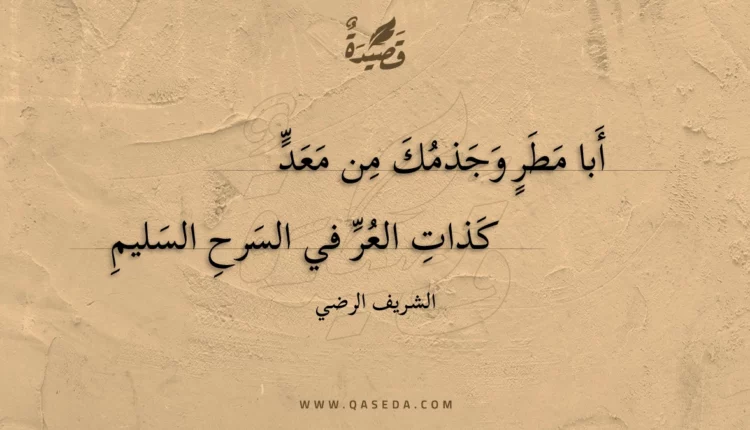 قصيدة أبا مطر وجذمك من معد