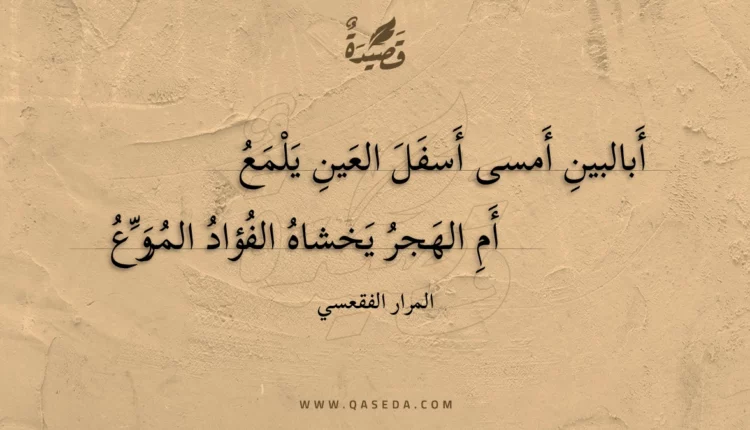 قصيدة أبالبين أمسى أسفل العين يلمع