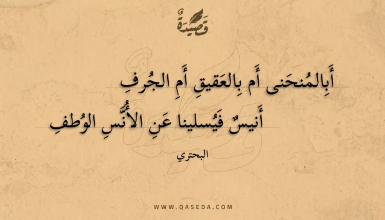 قصيدة أبالمنحنى أم بالعقيق أم الجرف