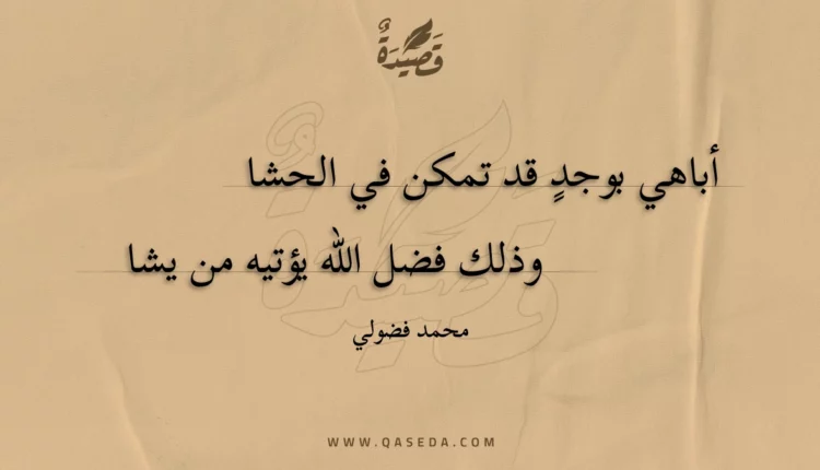 قصيدة أباهي بوجد قد تمكن في الحشا
