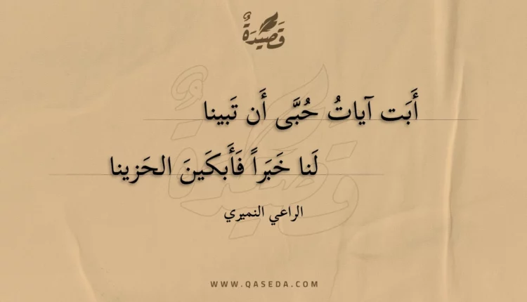 قصيدة أبت آيات حبى أن تبينا