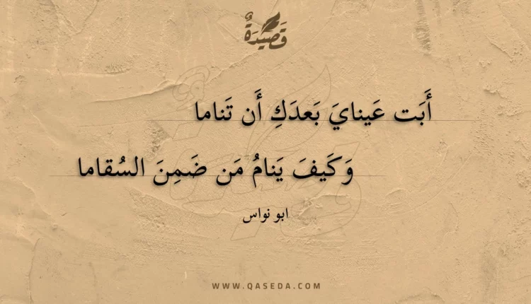 قصيدة أبت عيناي بعدك أن تناما