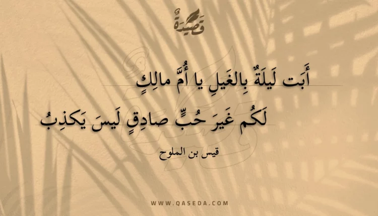 قصيدة أبت ليلة بالغيل يا أم مالك