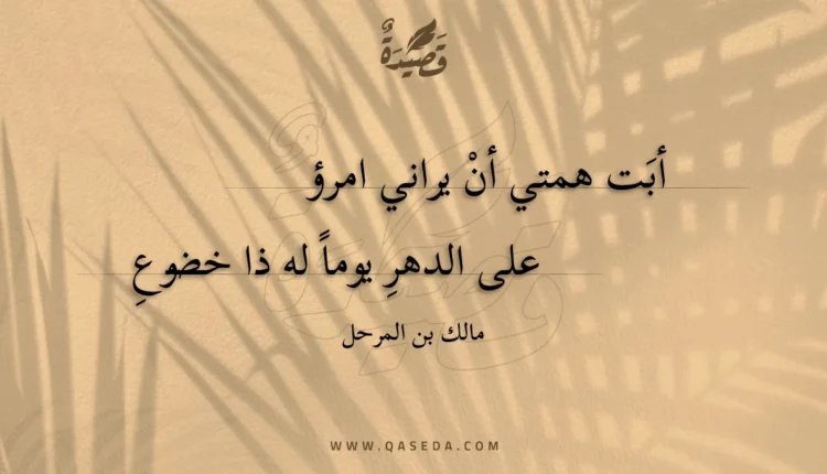 قصيدة أبت همتي أن يراني امرؤ