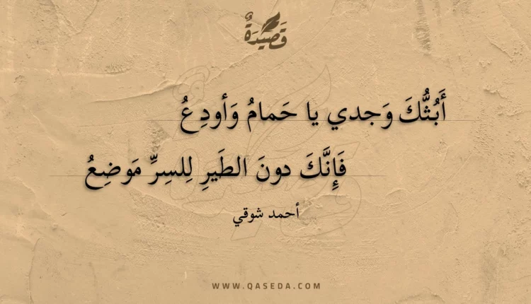 قصيدة أبثك وجدي يا حمام وأودع