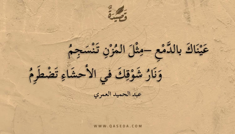 قصيدة أبصر طريقك..