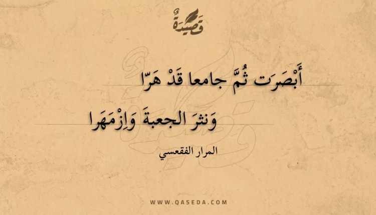 قصيدة أبصرت ثم جامعا قد هرا