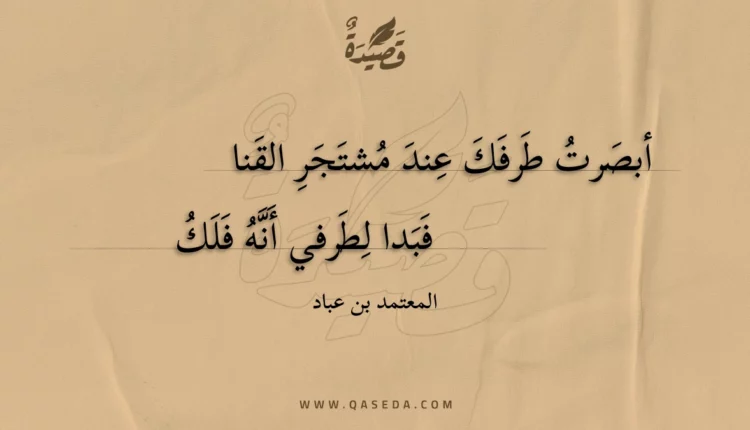 قصيدة أبصرت طرفك عند مشتجر القنا