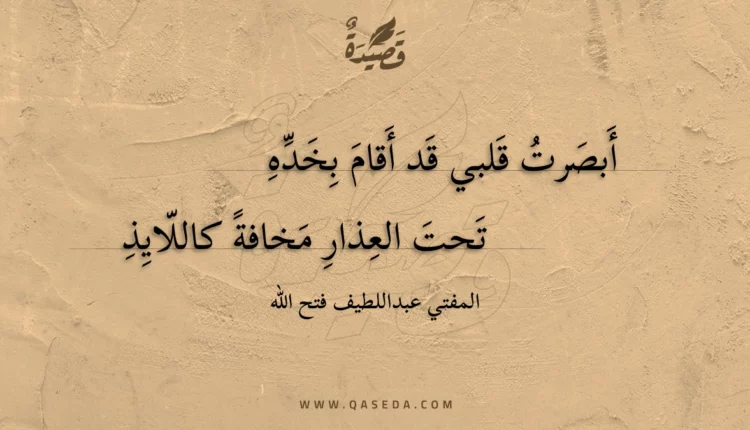قصيدة أبصرت قلبي قد أقام بخده